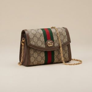 Gucci Ophidia GG Mini Handbag Web