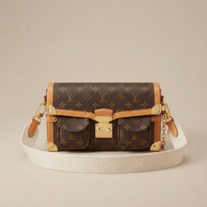 LV Viva Cité MM Monogram